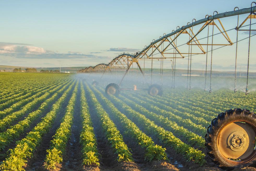 Precision Irrigation